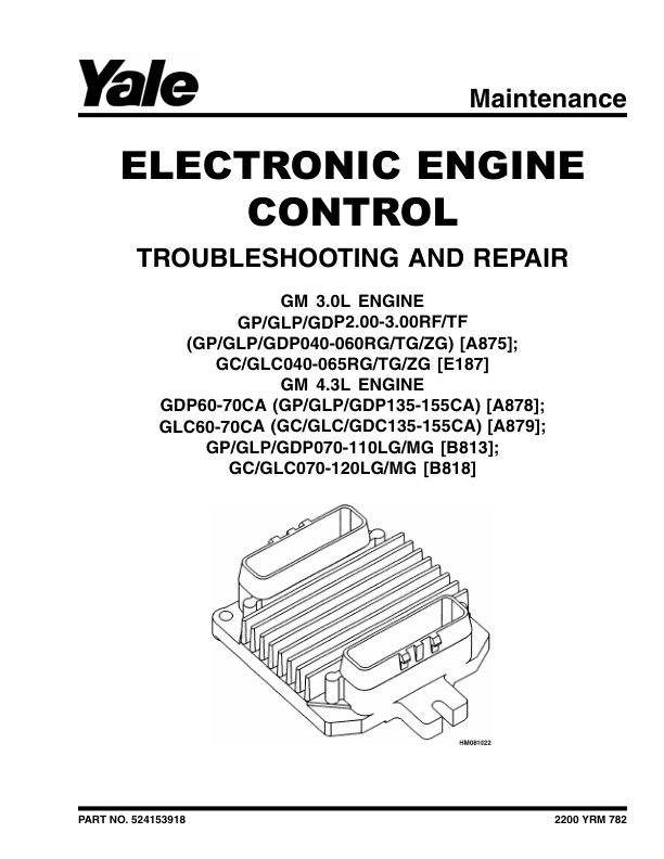 Yale GC70LJ, GC80LJ, GC80LJBCS, GC100MJ, GC100MJBCS, GC120MJ, GC120MJSPRS Forklift D818 Series Repair Manual Workshop Guide
